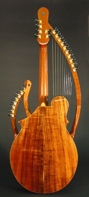 back1-Guitar-Luthier-LuthierDB-Image-2 back1-Guitar-Luthier-LuthierDB-Image-2